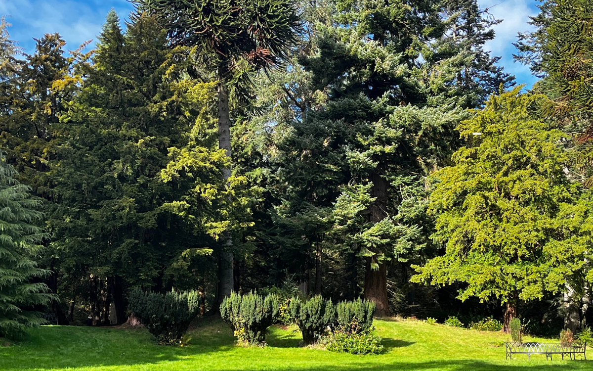 The Biggest Home Selling Mistakes Sellers Make in Spring in Hugo, Oklahoma